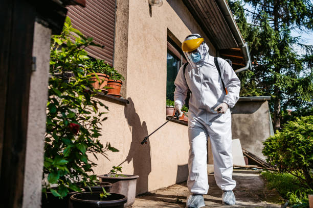 Professional Pest Control in Kearney, NE
