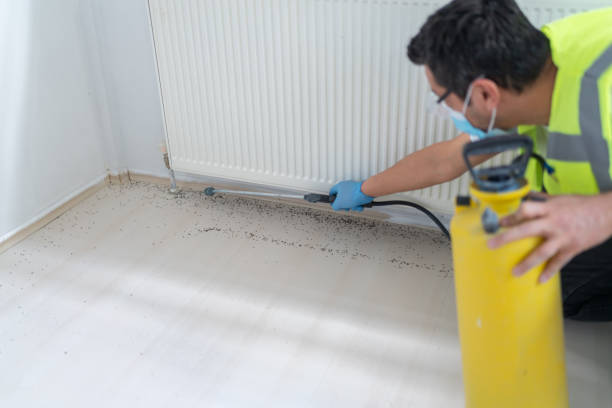 Best Residential Pest Control  in Keary, NE