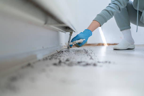 Best Best Pest Control Companies  in Keary, NE